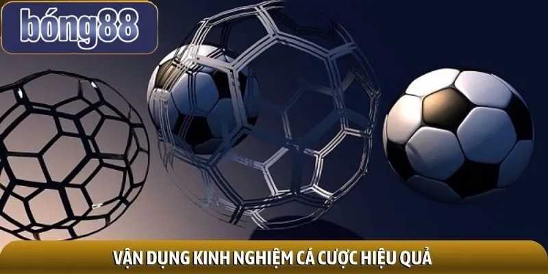 Tích lũy kinh nghiệm cá cược giúp tối ưu hóa lợi nhuận Tích lũy kinh nghiệm cá cược giúp tối ưu hóa lợi nhuận